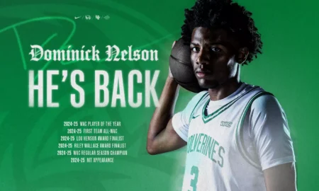 Poster announcing Dominick Nelson's return: green background, player in white-green Wolverines jersey holding a basketball, 'HE'S BACK' headline.