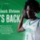 Poster announcing Dominick Nelson's return: green background, player in white-green Wolverines jersey holding a basketball, 'HE'S BACK' headline.